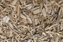 biomass boilers Nine Elms
